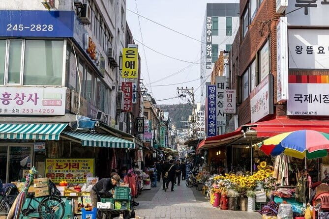 Private Custom Tour with a Local Guide Busan - A Closer Look at the Busan Private Tour