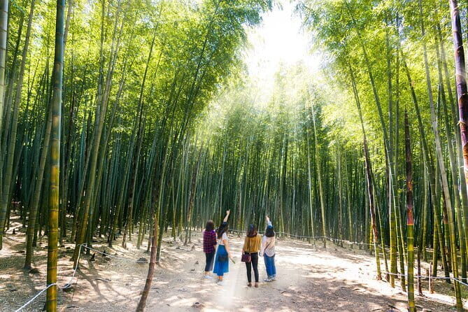 Private Custom Tour with a Local Guide Busan - Final Thoughts: Is It Worth It?