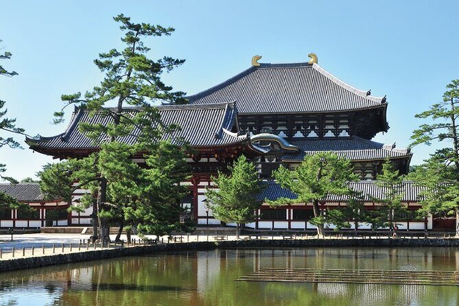 Private Customizable Nara Day Tour by Car from Osaka - Exploring Nara with a Private Customizable Day Tour from Osaka