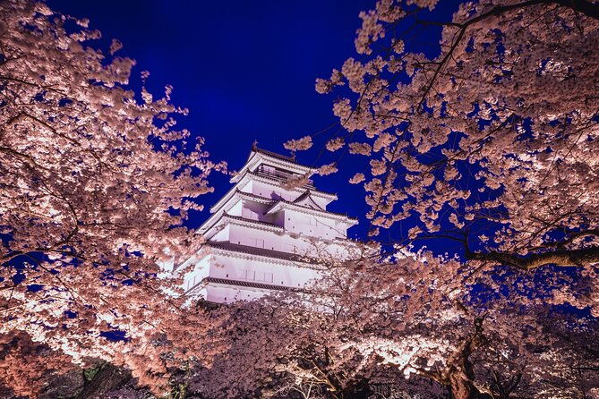 private-customizable-tour-in-tokyo