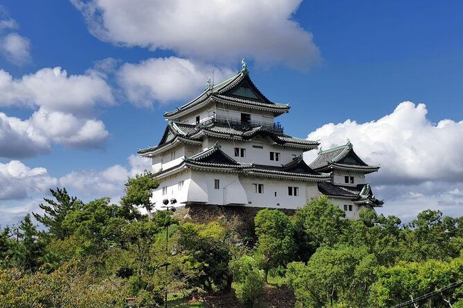 private-customizable-tour-in-wakayama