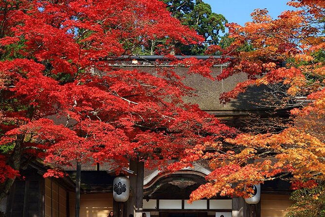 private-customizable-tour-in-wakayama