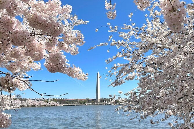 private-customizable-tour-of-washington-dc