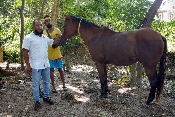 private-customize-tour-to-martha-brae-rafting-and-horseback-riding-n-swim