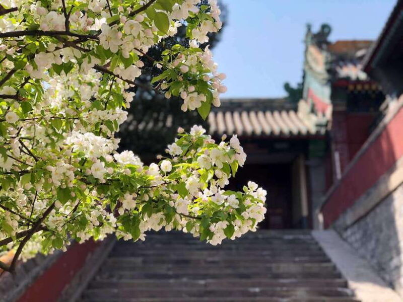 private-customized-beijing-garden-tour