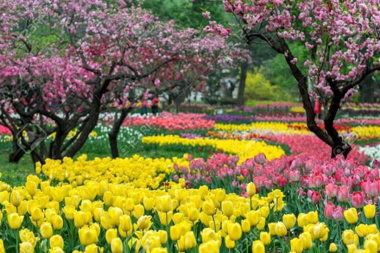 private-customized-beijing-garden-tour