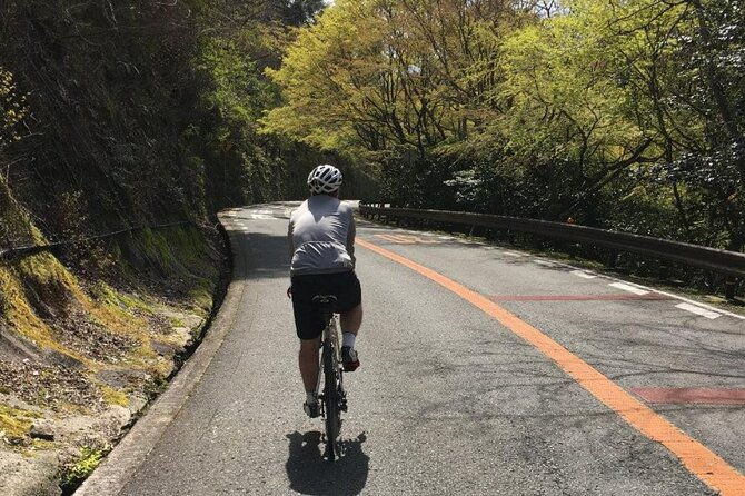 private-customized-kansai-cycle-tour