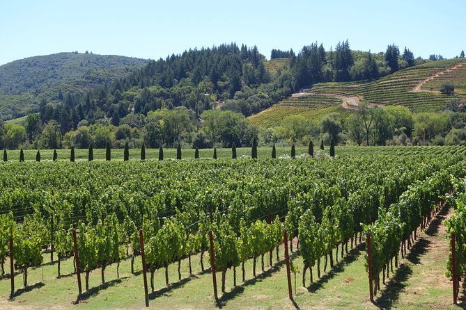 private-customized-napa-valley-wine-tasting-tour-10-passenger