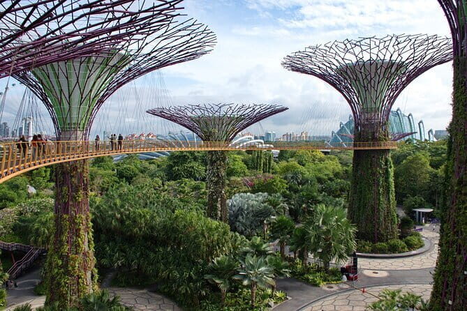 Private Customized Singapore Walking Tour - Flexibility and Comfort