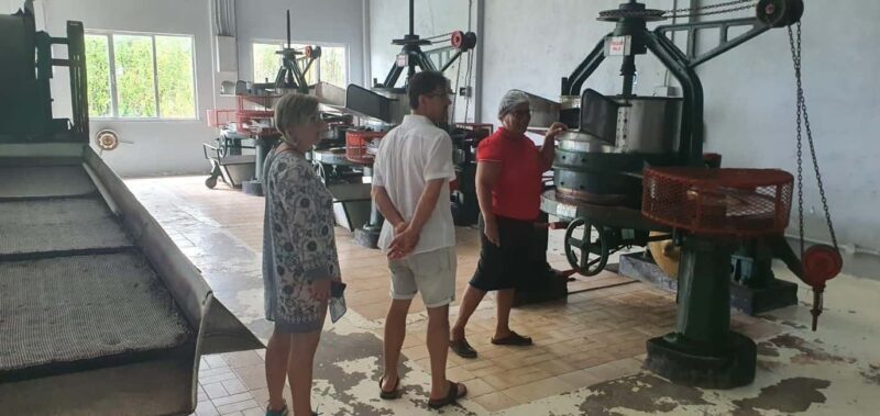 Private Customized Tour: Explore Mahe beyond the ordinary - Customization: Making the Tour Truly Yours