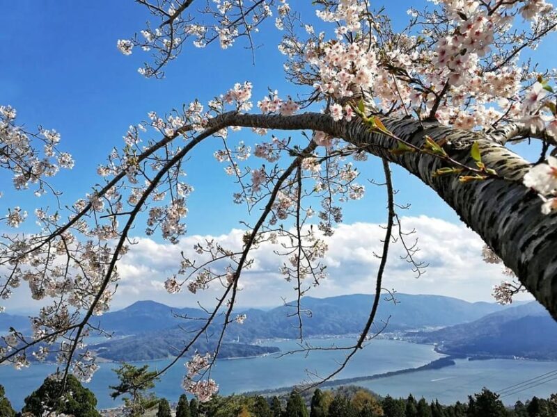 Private Customized Tour in Amanohashidate and Ine-cho area - Final Thoughts