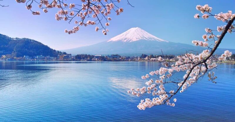 Private Customized Tour in Mount Fuji - Exploring the Mount Fuji Area in Comfort and Style