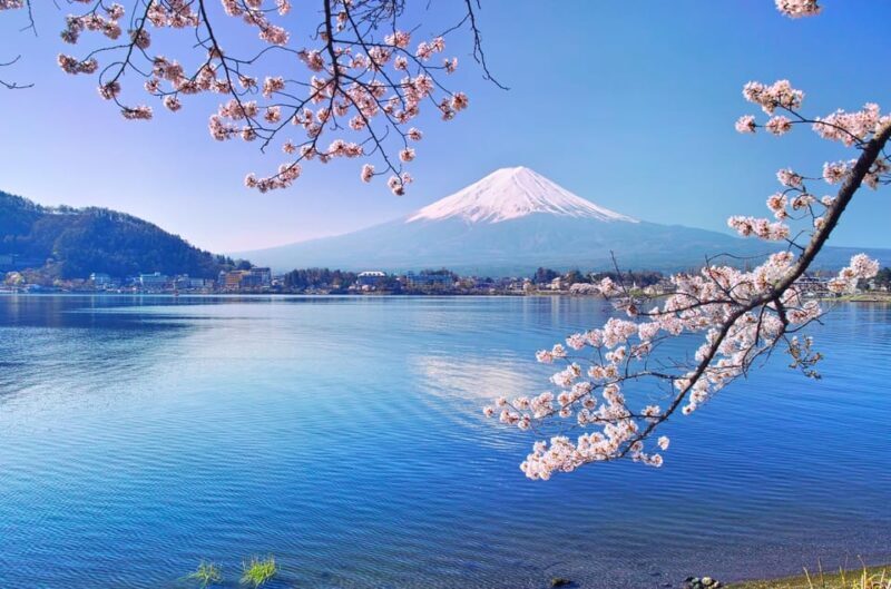 Private Customized Tour in Mount Fuji - Who Is This Tour Best For?