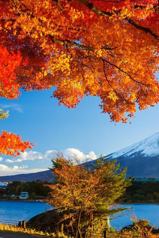 Private Customized Tour in Mount Fuji - The Sum Up