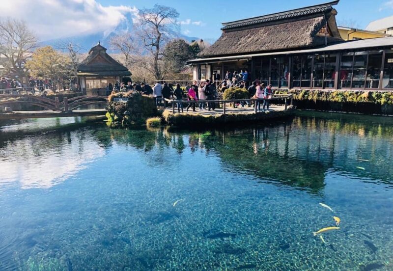 Private Customized Tour in Mount Fuji - FAQ