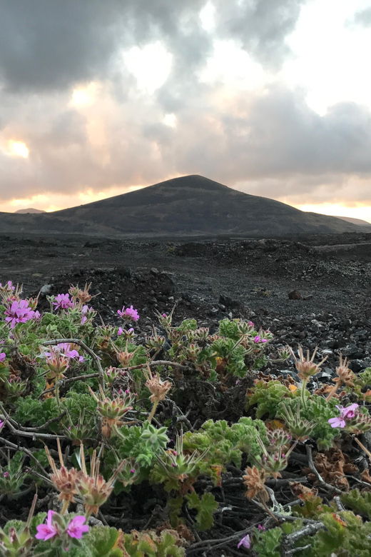 private-customized-tour-of-lanzarote-island