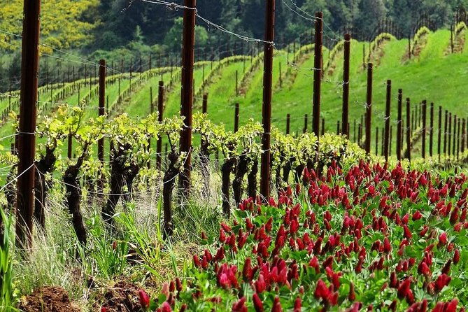 private-customized-willamette-valley-wine-maker-tour-with-lunch