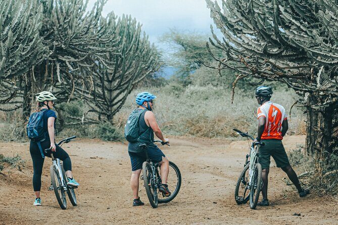 Private Cycle to Kilimanjaro Bike Park Safari - Experience the Private Cycle to Kilimanjaro Bike Park Safari