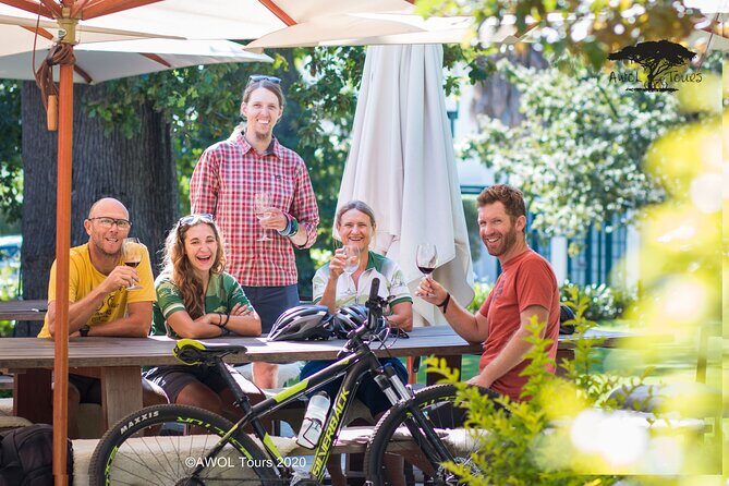 Private Cycling Tour of Constantia Winelands - A Detailed Look at the Experience