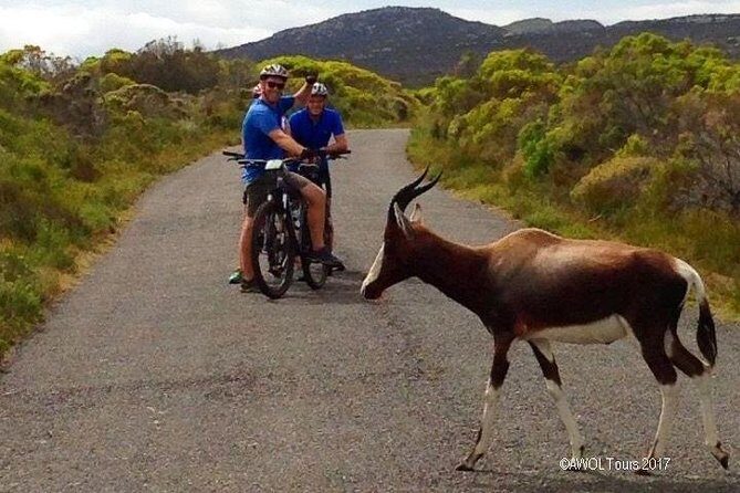 Private Cycling Tour of The Cape Peninsula from Cape Town - FAQ