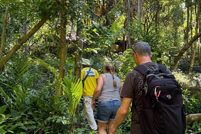 Private Danang Hidden Gems Motorbike Tour - Exploring the Danang Hidden Gems Motorbike Tour in Detail