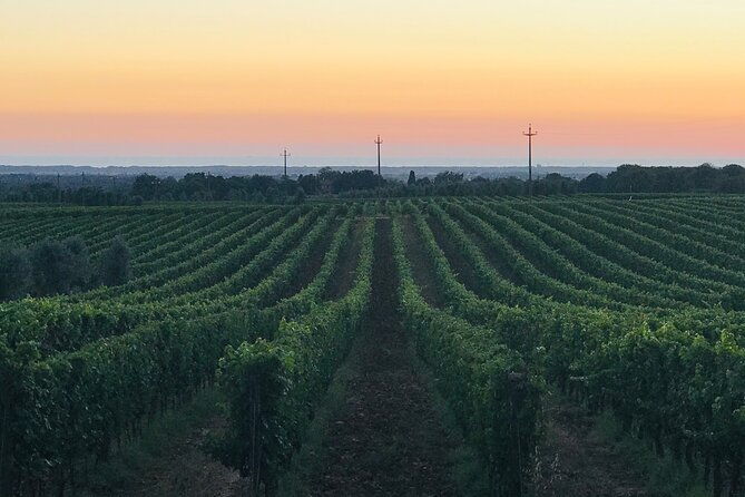 private-day-between-vineyards-and-wine-cellars-in-chianti
