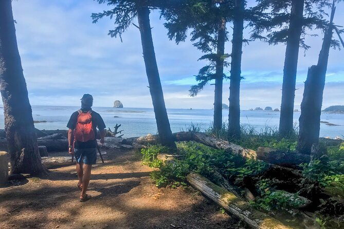 private-day-hike-in-the-ozette-triangle