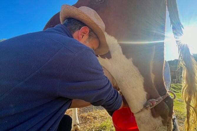 private-day-of-immersion-in-country-life-with-food