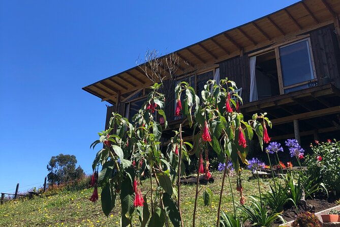 private-day-of-immersion-in-country-life-with-food