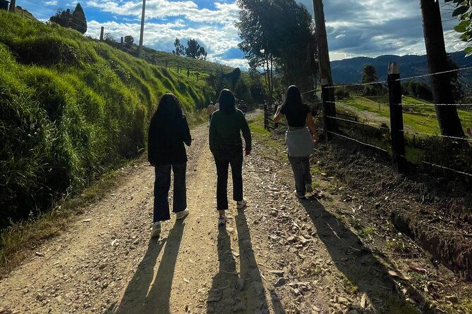 private-day-of-immersion-in-country-life-with-food