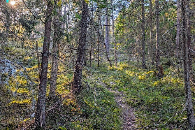 private-day-road-trip-from-helsinki-raseborg-fagervik-porkkala