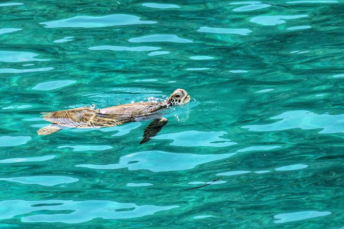 private-day-sail-bvi-explore-enjoy-the-british-virgin-islands