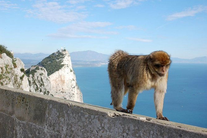 private-day-to-gibraltar-from-marbella-or-marbella-2