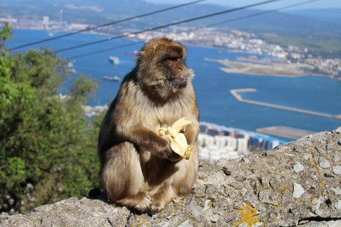 private-day-to-gibraltar-from-marbella-or-marbella