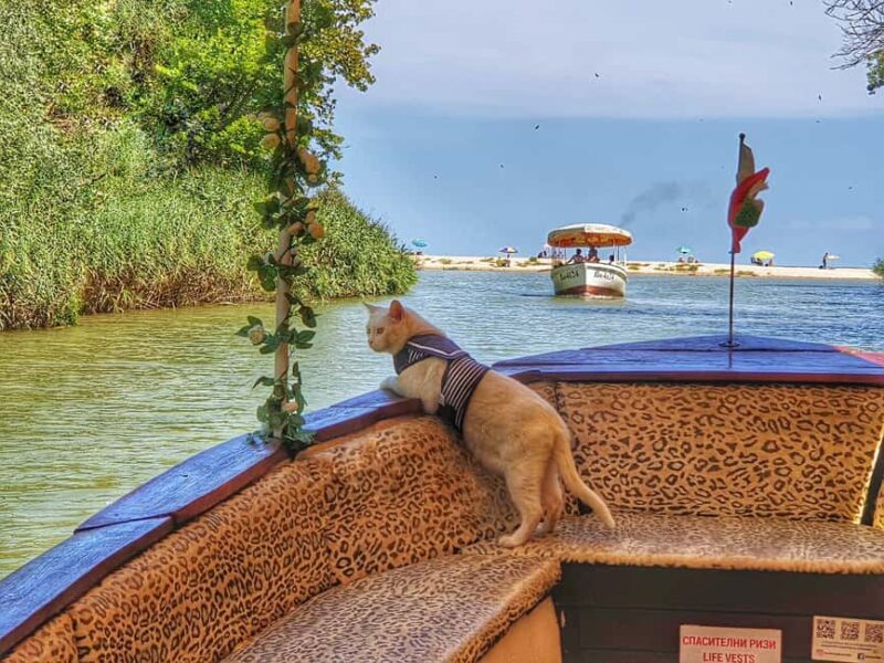 Private Day Tour: Aladzha, Varna, Pobiti Kamani, Kamchia - Who This Tour Is Best For