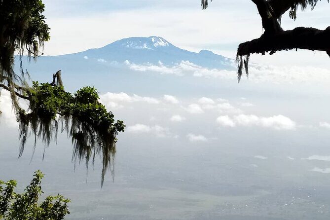 Private Day Tour and Hike in Kilimanjaro National Park - An Honest Look at the Experience