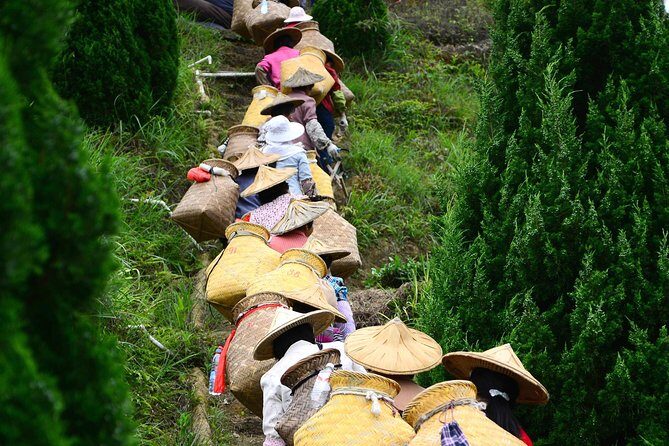 Private Day Tour: Anxi Tea Garden And Hongen Rock From Xiamen - Key Points