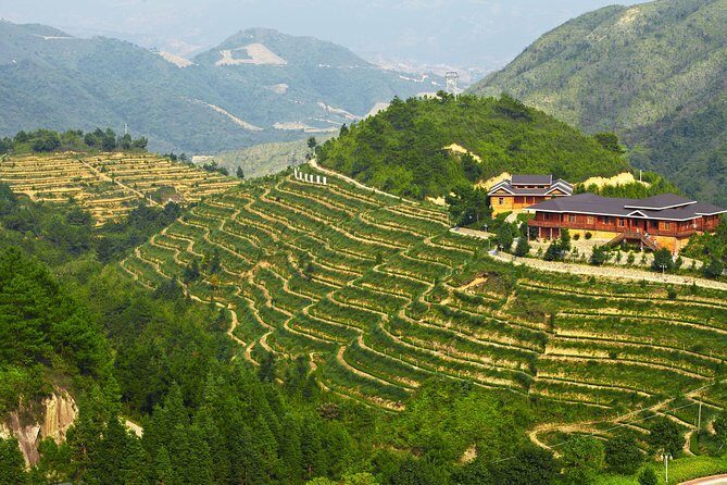 Private Day Tour: Anxi Tea Garden And Hongen Rock From Xiamen - FAQ
