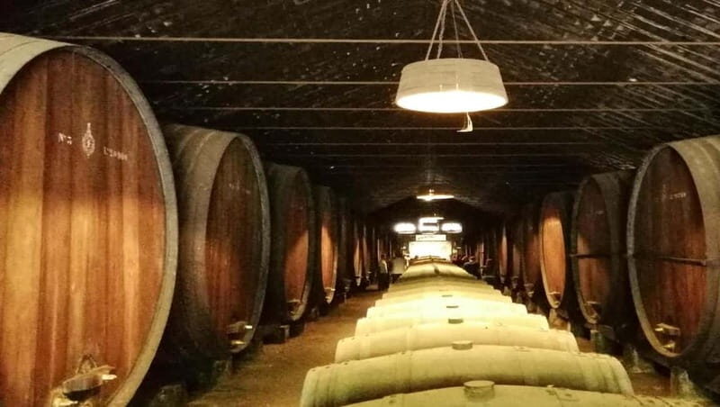 Private day tour Arrábida, Palmela Castle, tiles and Winery - FAQ