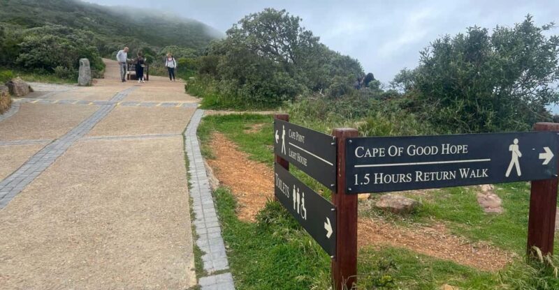 Private Day Tour Cape Point, Cape Of Good Hope & Penguins - Key Points