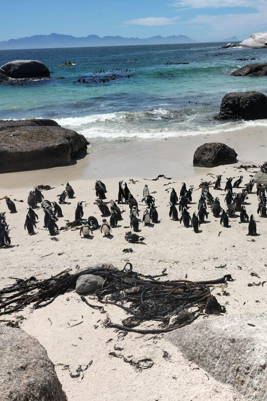 Private Day Tour Cape Point, Cape Of Good Hope & Penguins - FAQ