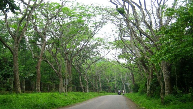 private-day-tour-cuc-phuong-national-park-from-hanoi