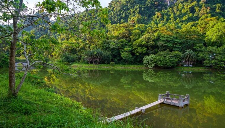 private-day-tour-cuc-phuong-national-park-from-hanoi