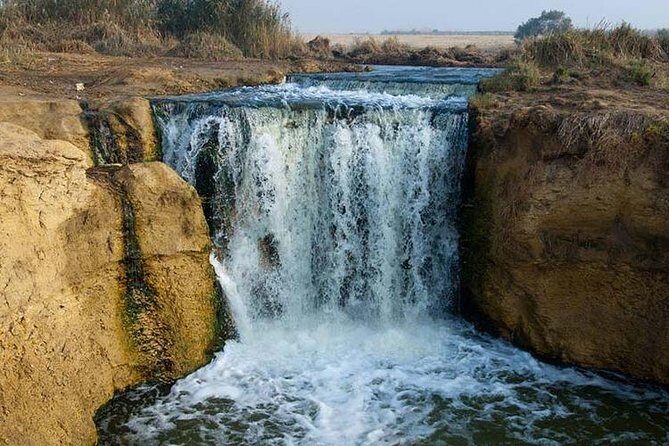 Private day tour El Fayoum ,and Valley of Whales with safari - Key Points