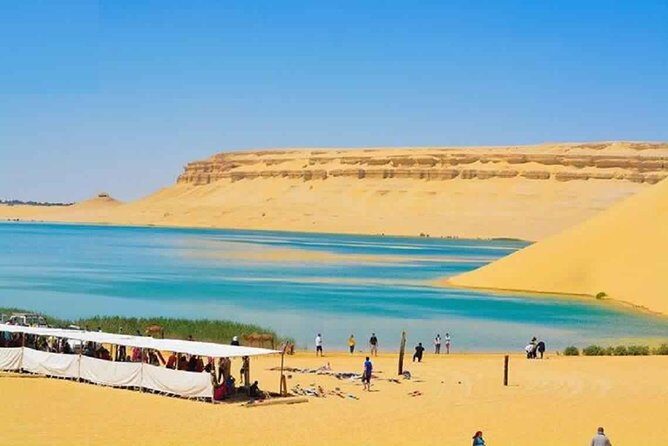 Private day tour El Fayoum ,and Valley of Whales with safari - Final Thoughts: Is This Tour Worth It?