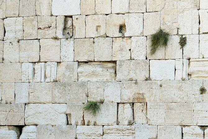 Private Day tour from Haifa to Jerusalem - Who Is This Tour Best For?