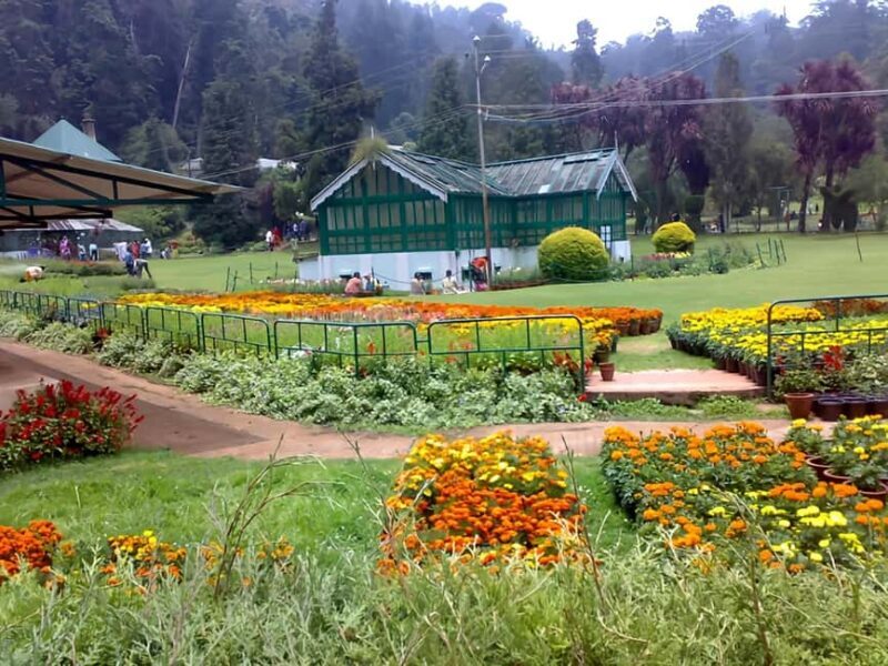 Private Day Tour : From Madurai to Enchanting Kodaikanal - Key Points