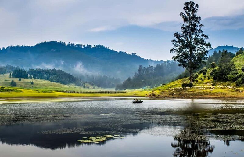 Private Day Tour : From Madurai to Enchanting Kodaikanal - Detailed Review of the Kodaikanal Day Trip