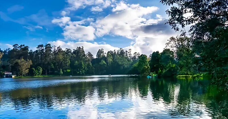 Private Day Tour : From Madurai to Enchanting Kodaikanal - Who is This Tour Best Suited For?