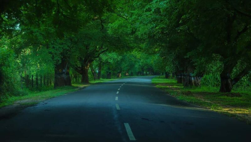 Private Day Tour : From Madurai to Enchanting Kodaikanal - Frequently Asked Questions